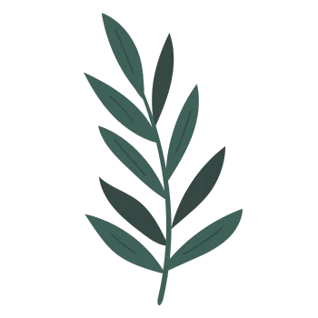 un pictogramme végétal indiquant que tous les ingrédients sont à base de plantes